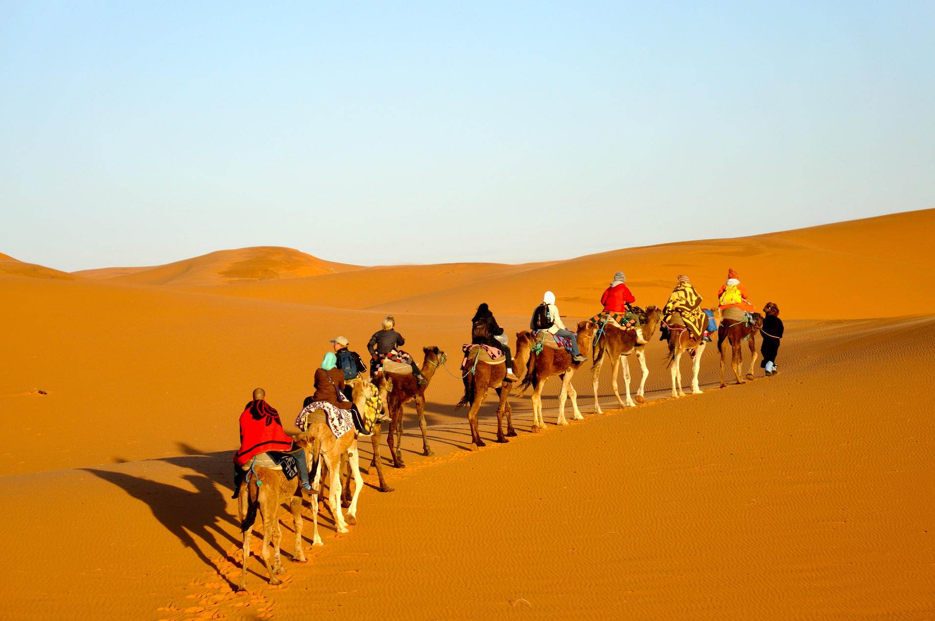 Desert Tour FROM FES