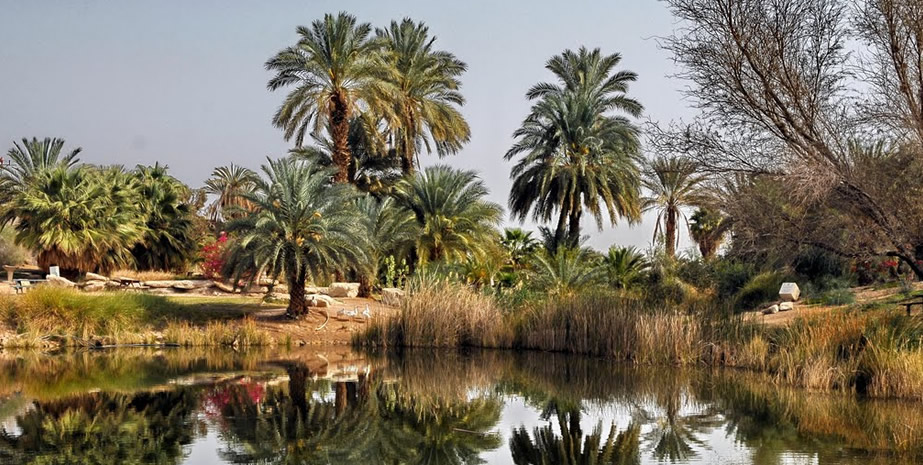 Crossing of the Morocco Saharan Desert